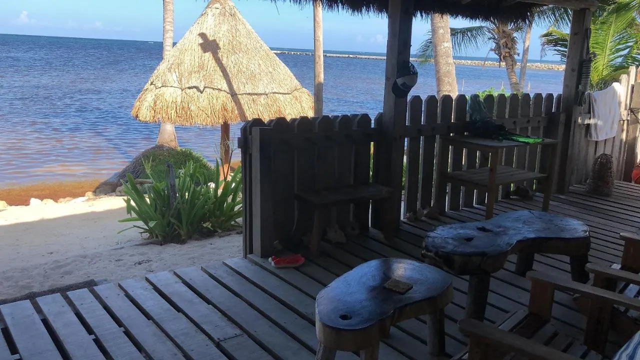 Casa Cangrejo Xcalak Lodge 墨西哥