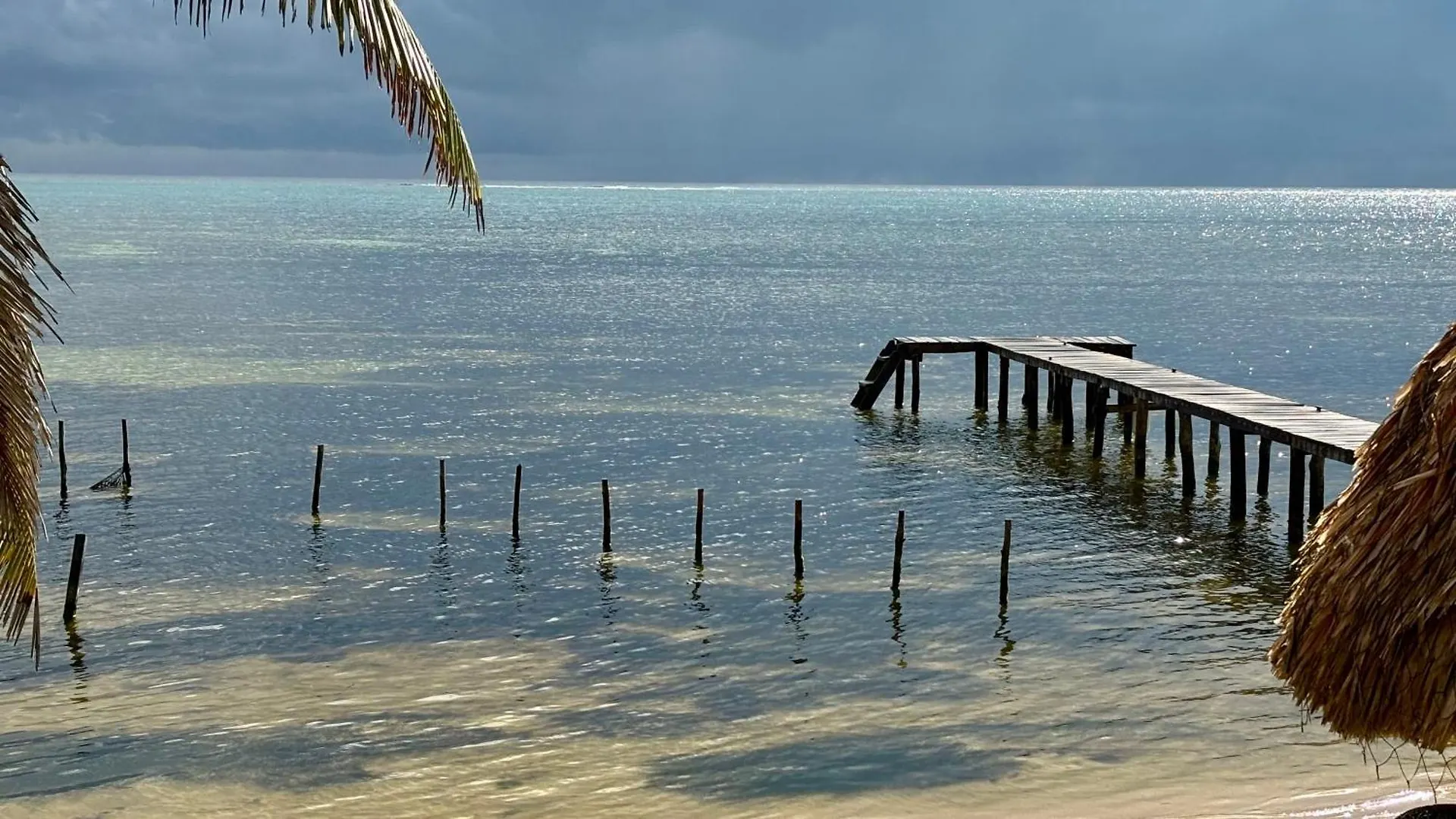 Casa Cangrejo Xcalak Lodge 墨西哥